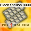 Black Stallion 9000 07